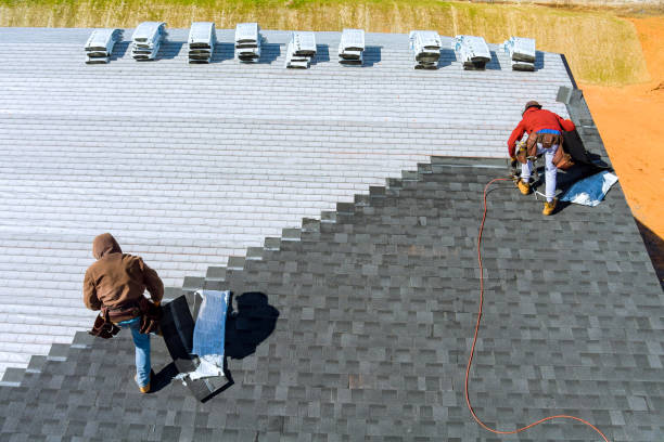 Best Storm Damage Roof Repair  in Monee, IL
