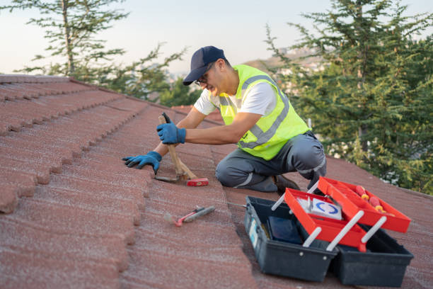 Professional Roofing Contractor in Monee, IL