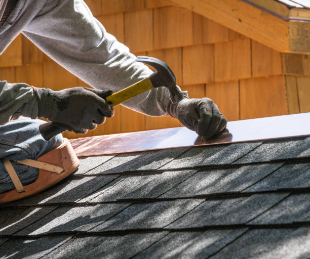 Best Flat Roof Repair Services  in Monee, IL